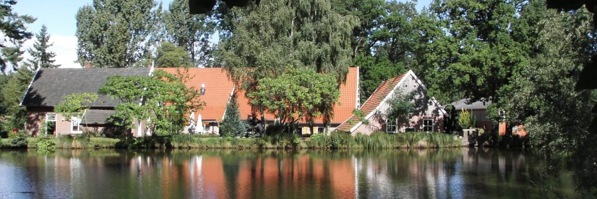 Water with watermill in Wilsum in the background
