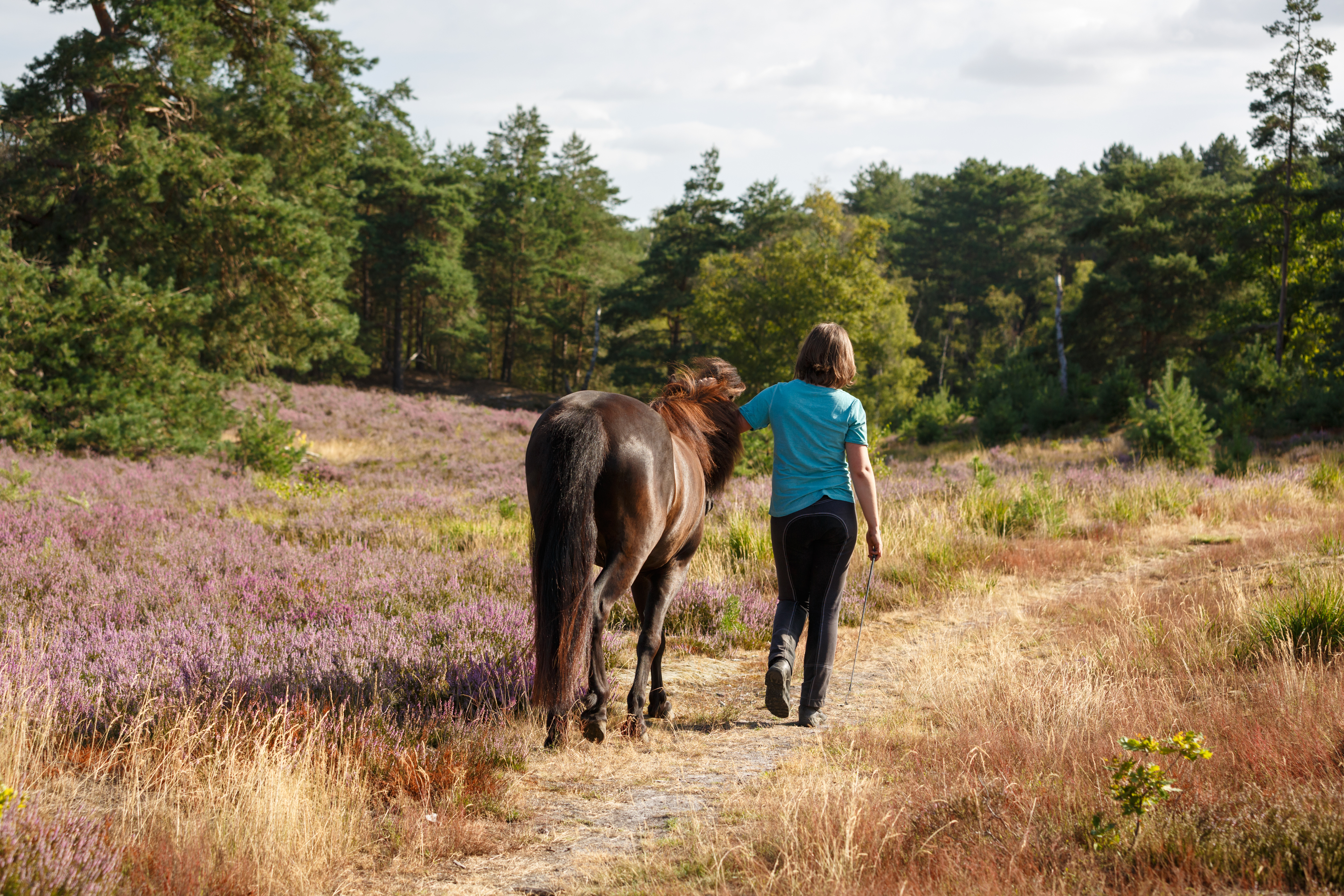 Woman with Icelander in the heath
