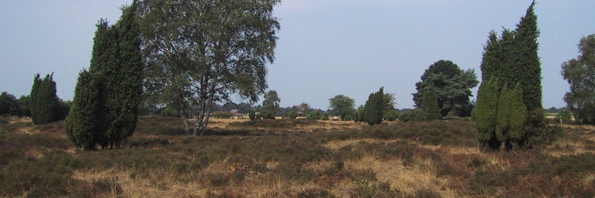 Söven Pölle Getelo Heide, Söven Pölle Getelo