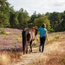 Mujer con islandés en el brezal