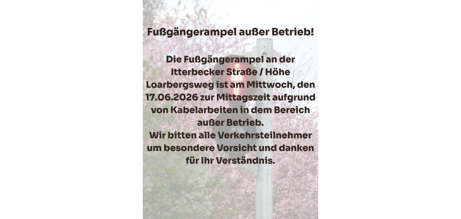Informatie over het voetgangerslicht