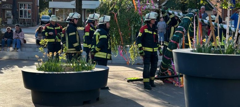 De brandweer van Uelsen richt de meiboom op