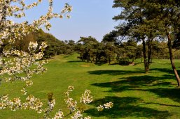Uelser Holt landschap Heuvelachtig landschap in het Uelser Holt