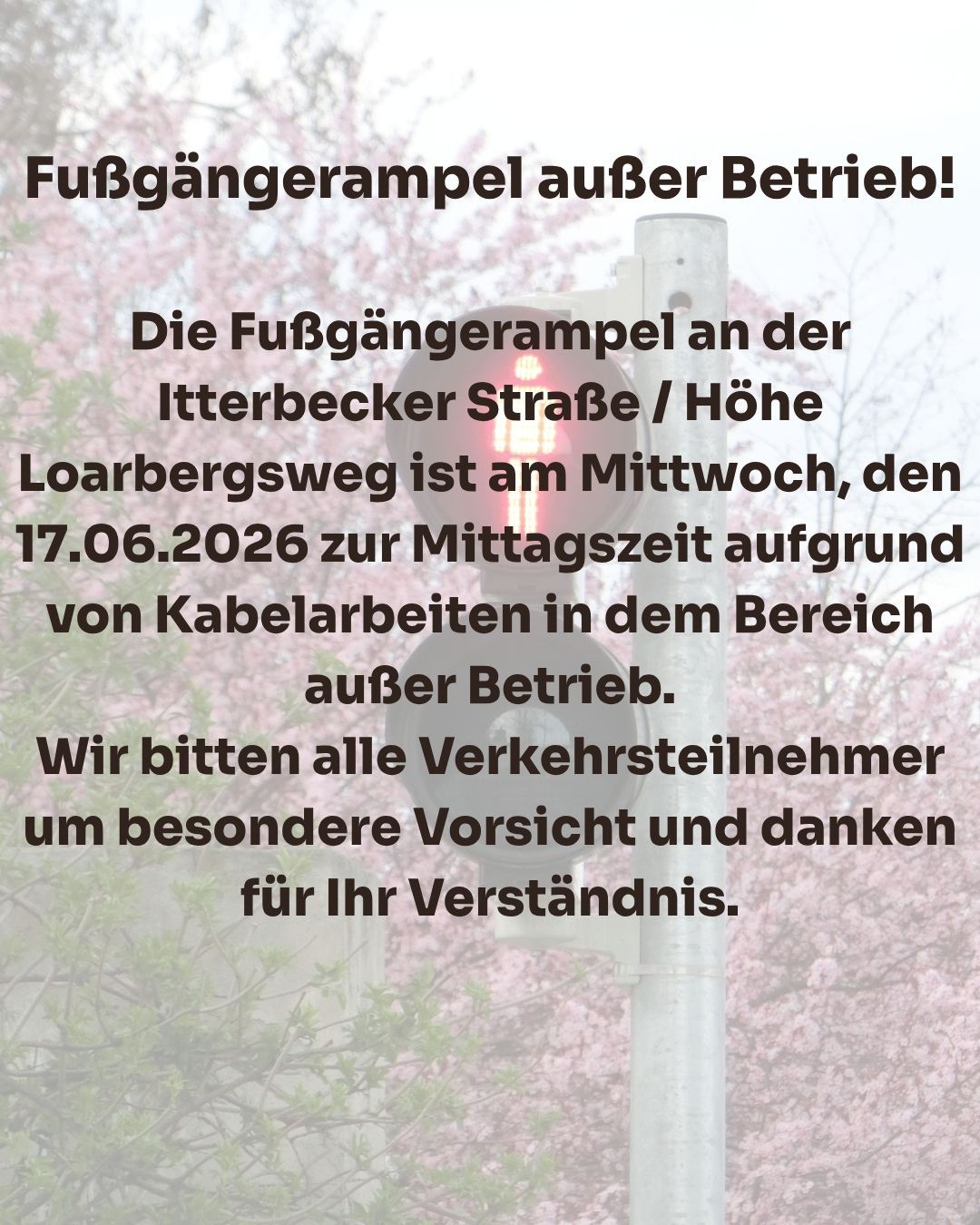 Infos zur Fußgängerampel
