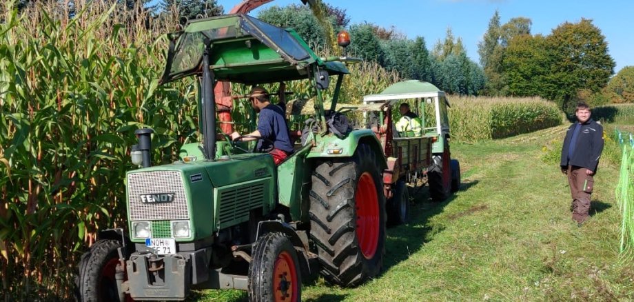 Traktor mit Anhänger zum Mais häckseln