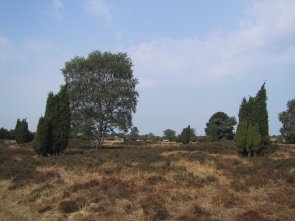 Heide, Söven Pölle Getelo