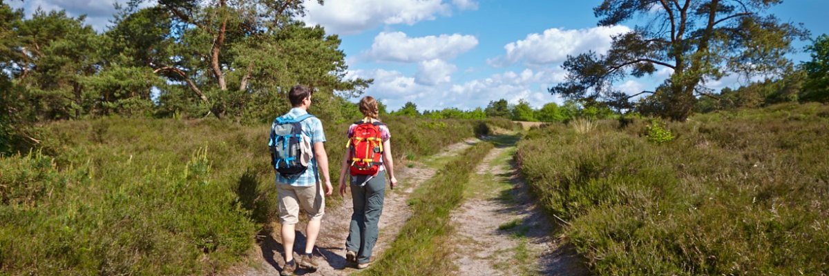 Wandern Itterbecker Heide Wandern Itterbecker Heide