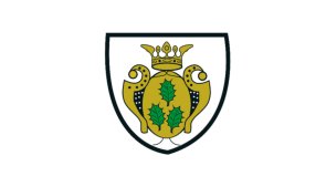 Wappen Uelsen Wappen Uelsen