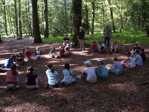 Kinder sitzen im Kreis auf dem Waldboden