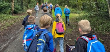 Die Kinder machen einen Spaziergang durch den Wald